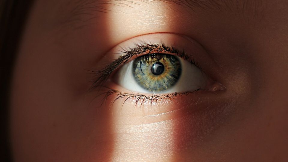Are Blue Eyes More Sensitive to Light?