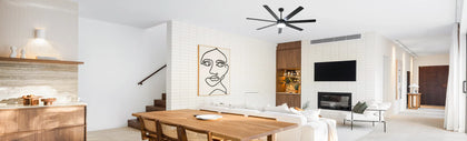 Best Sellers-Ceiling Fan with Light