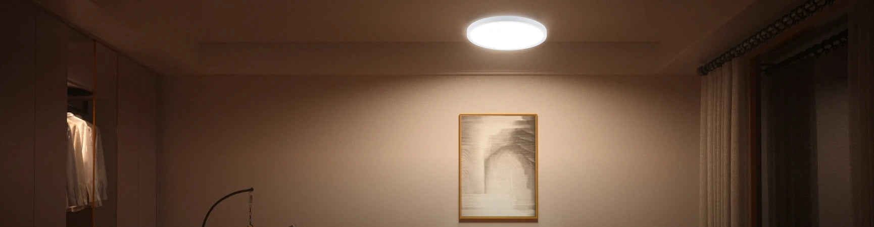 Flush Mount Ceiling Light